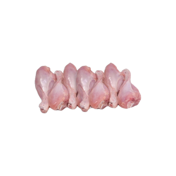 Broiler Chicken Drumsticks